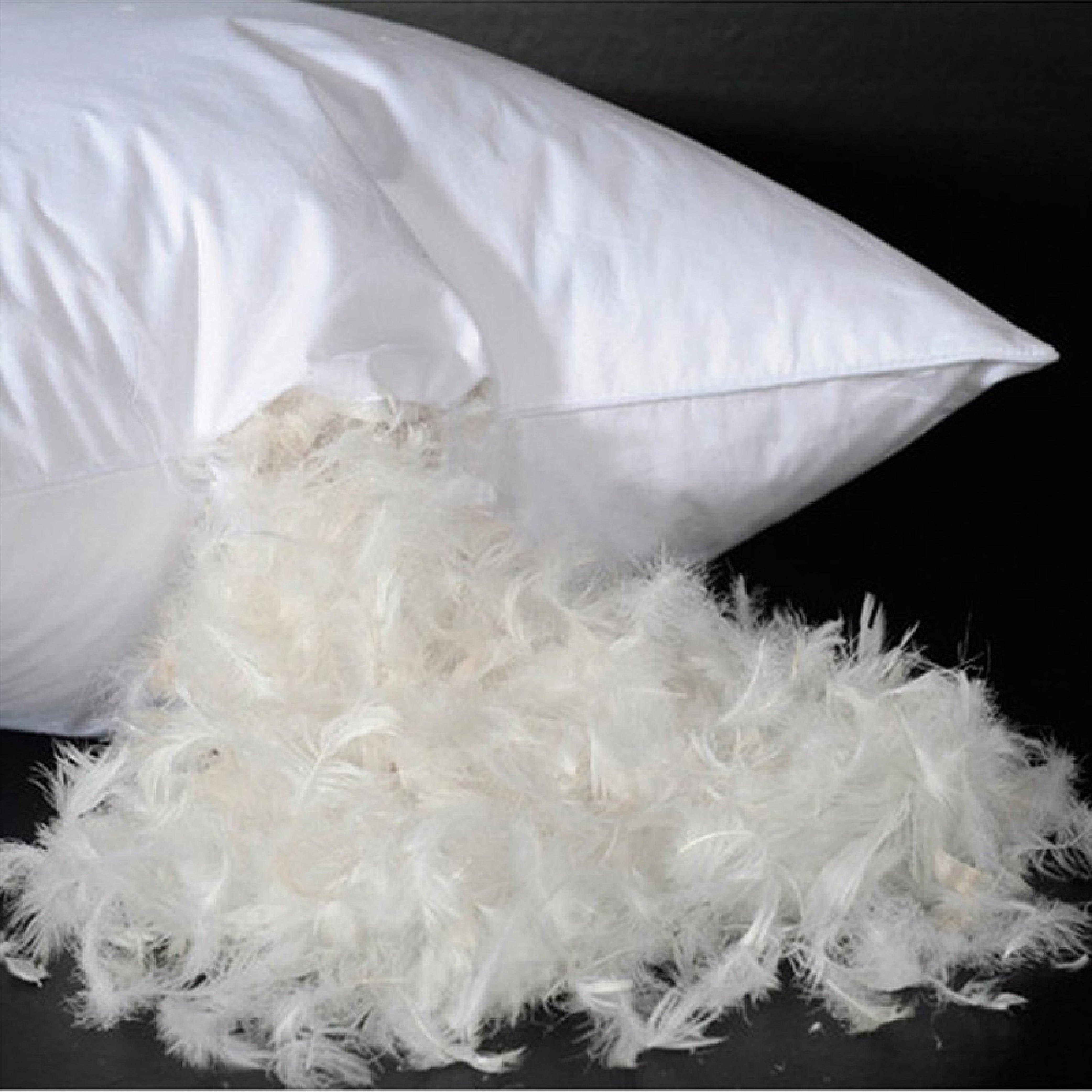 Hyper Cover Cushion Inserts with Feather Filling | Cushion Inserts | Brilliant Home Living