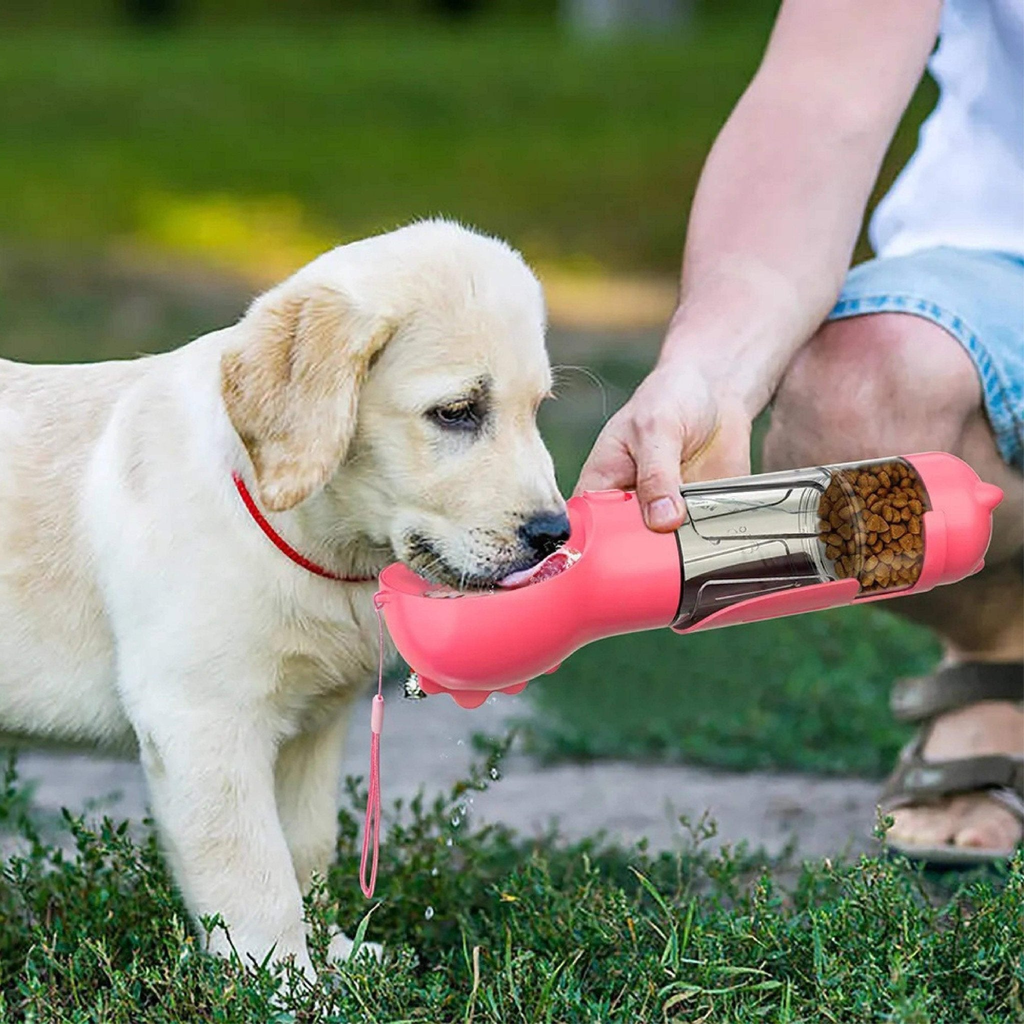 Pet Swift 3-in-1 Portable Dog Water Bottle | Travel Dispenser with Poop Scoop - Green -