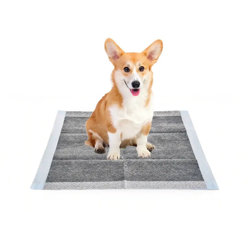 Pet Swift Activated Charcoal Puppy Pads | 60x60cm Odour Control Dog Training Mats - 40 pcs -