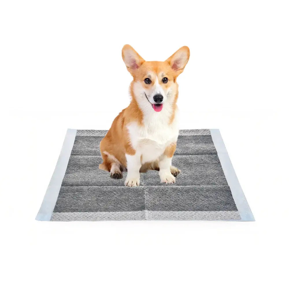 Pet Swift Activated Charcoal Puppy Pads | 60x60cm Odour Control Dog Training Mats | Dog Toilet Pad | Brilliant Home Living