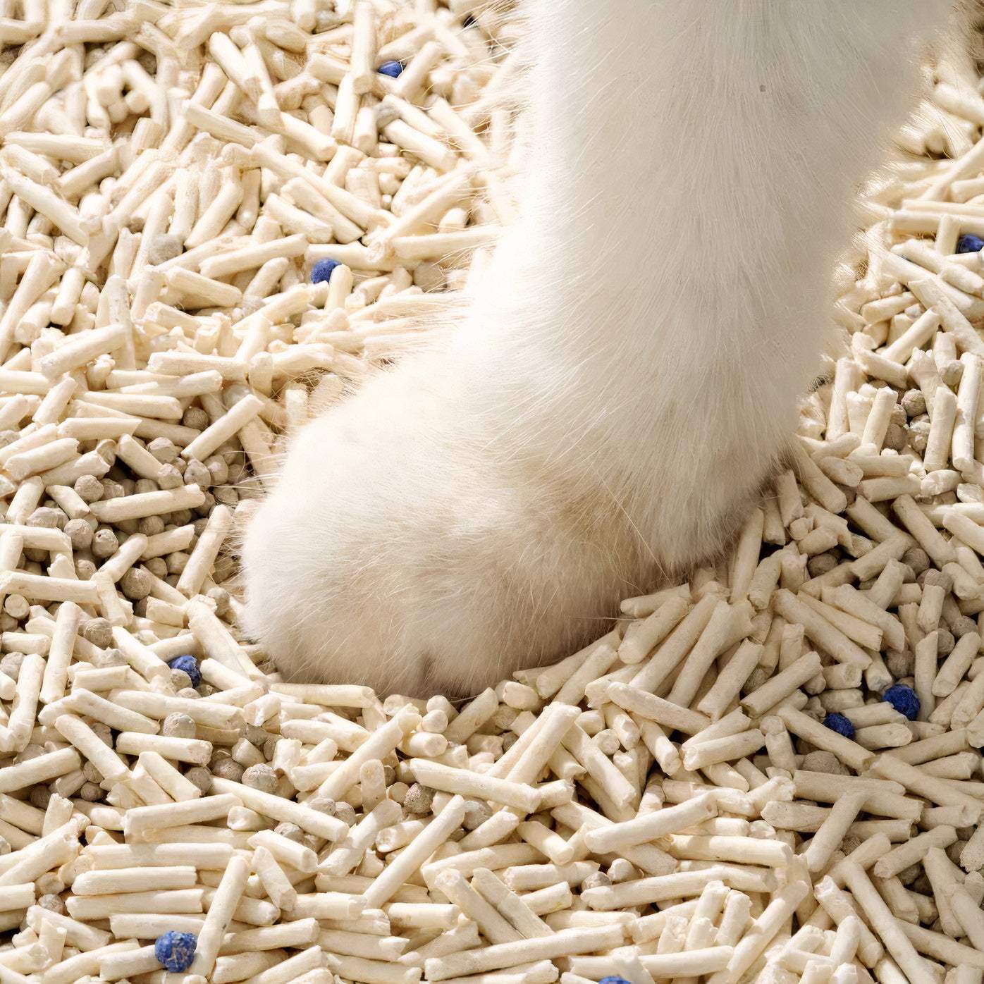 Pet Swift Active Carbon Tofu & Bentonite Cat Litter | Clumping & Flushable - Original -