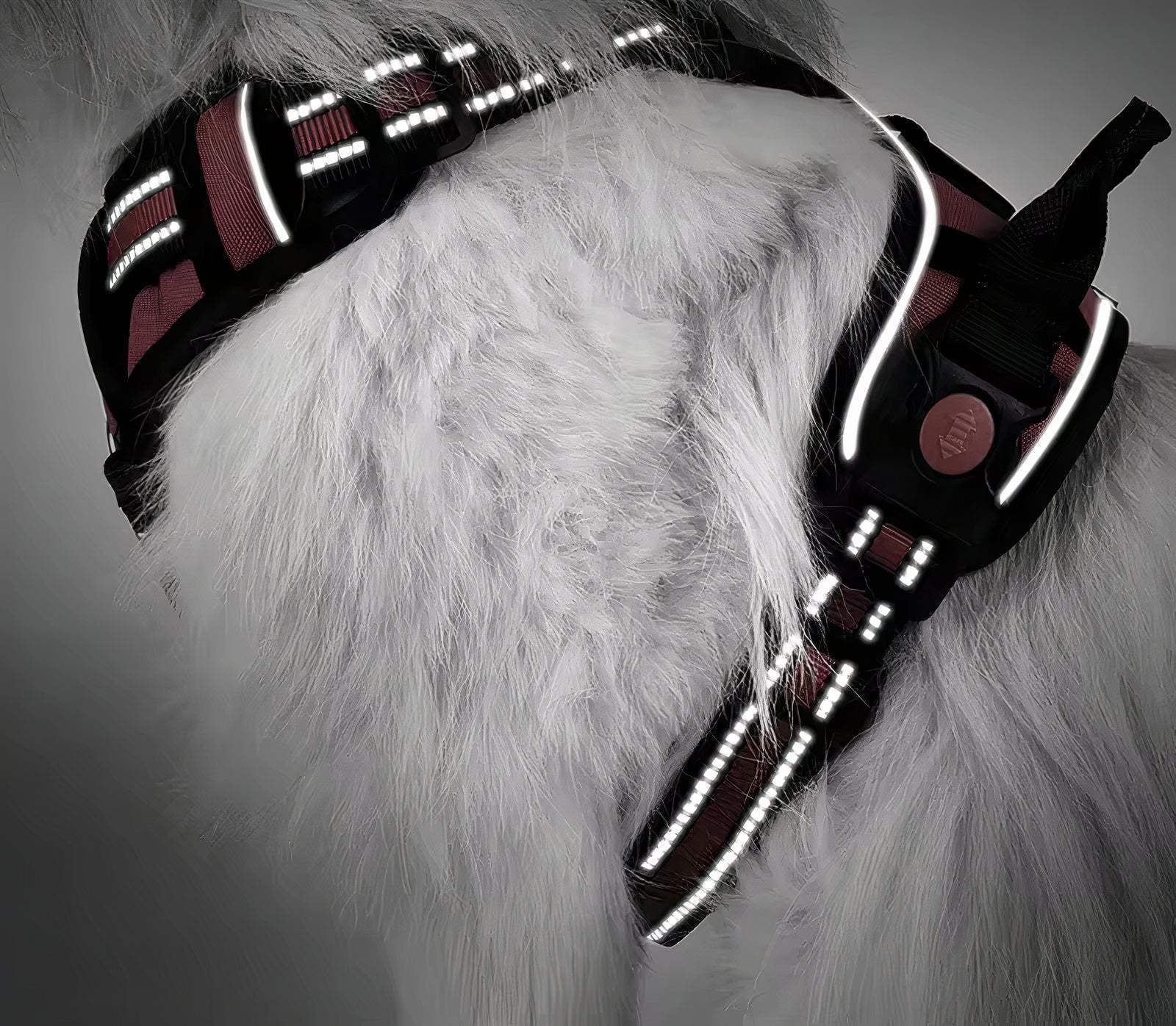 Pet Swift No Pull Dog Harness Red | Adjustable Reflective Front Clip Vest | Dog Harness | Brilliant Home Living